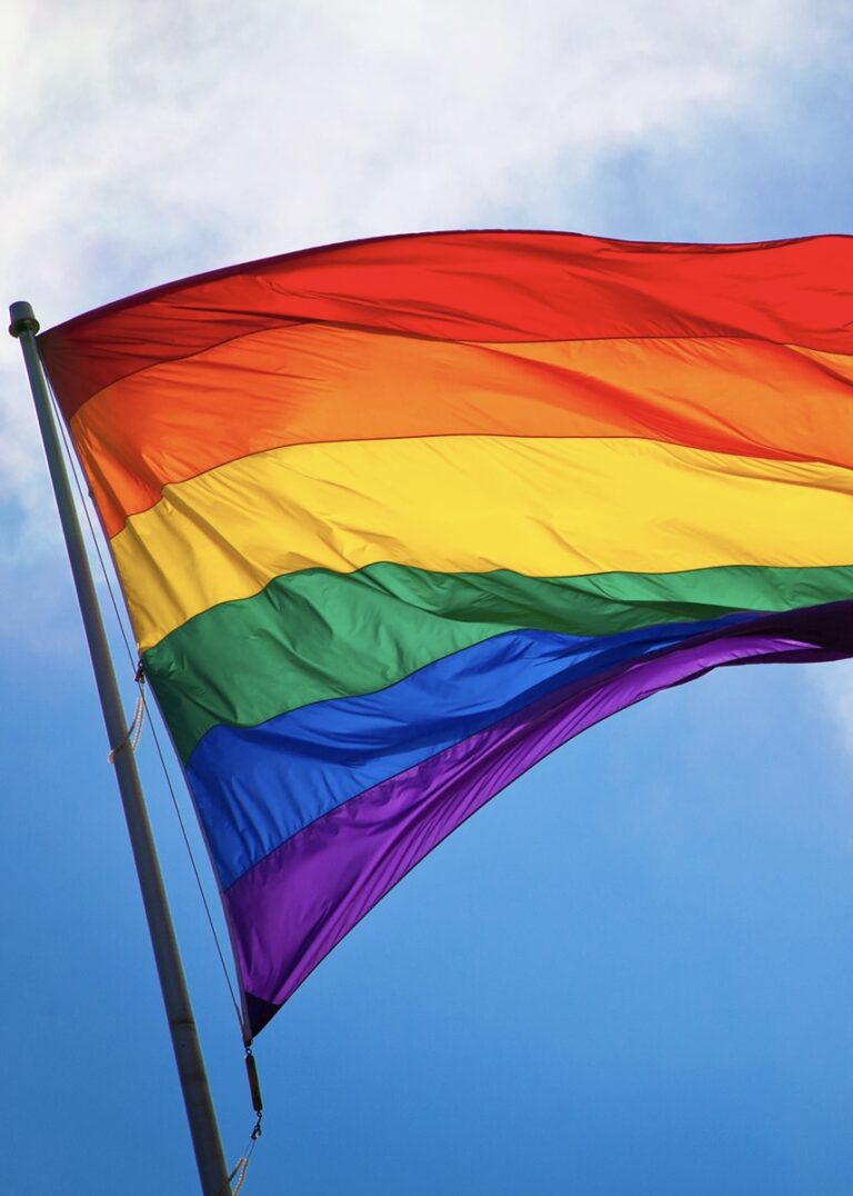 I Seminário LGBTQIAPN+ da Ales discute direitos, respeito e cidadania