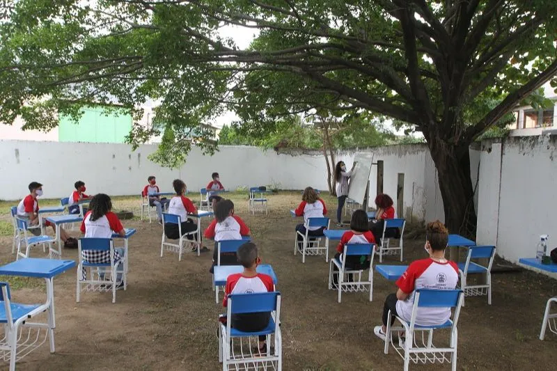 Arborização, hortas e ventilação: conheça o projeto para melhorar o ambiente escolar no ES