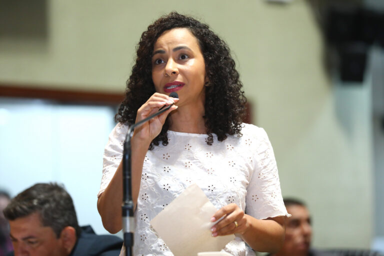 Deputada pressiona prefeituras por programa antirracista nas escolas